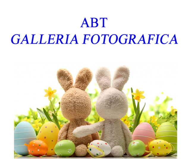 Foto ABT